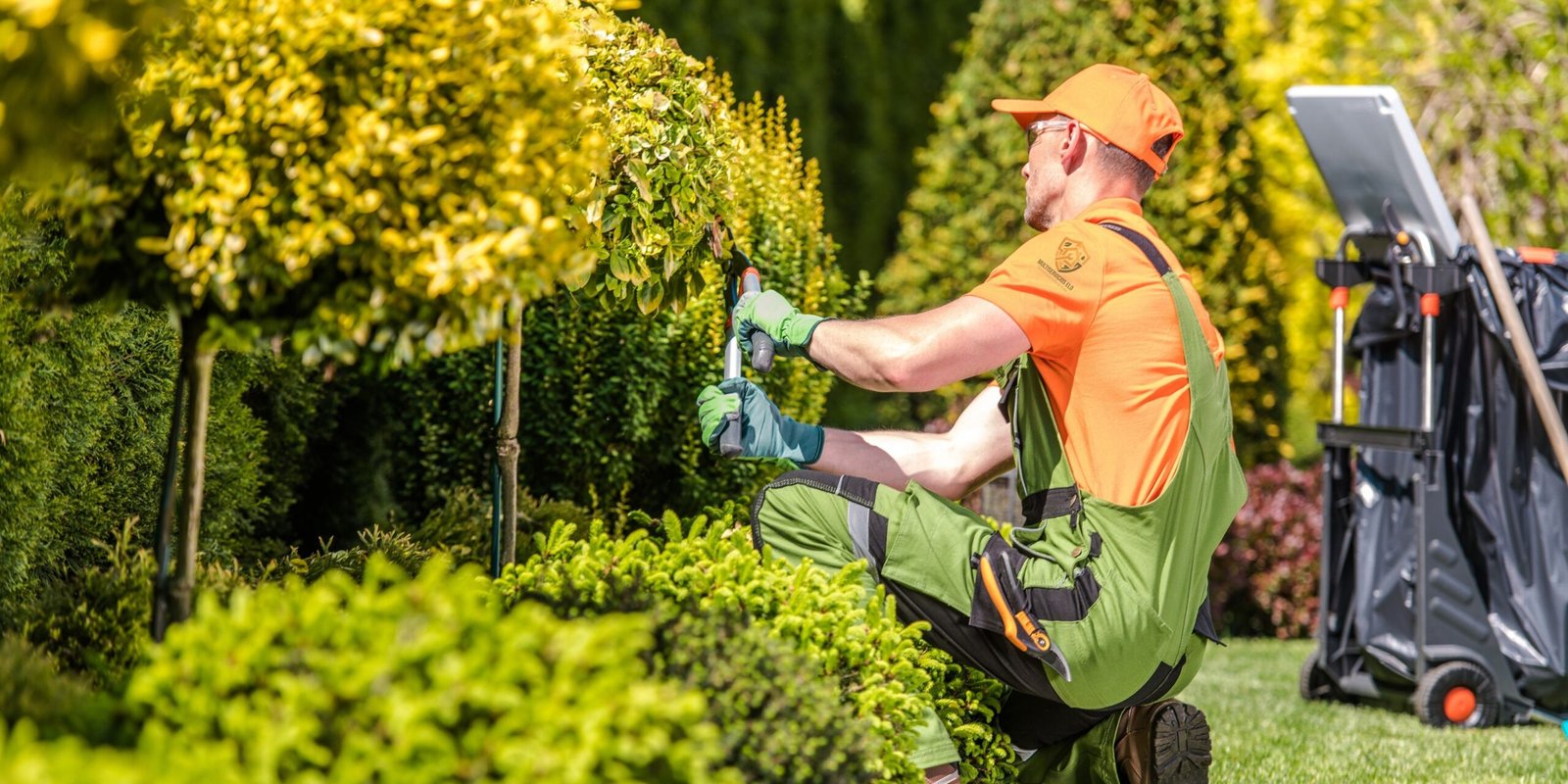 Servicio de jardinería y mantenimiento de piscinas y comunidades en Alhendín y Granada provincia