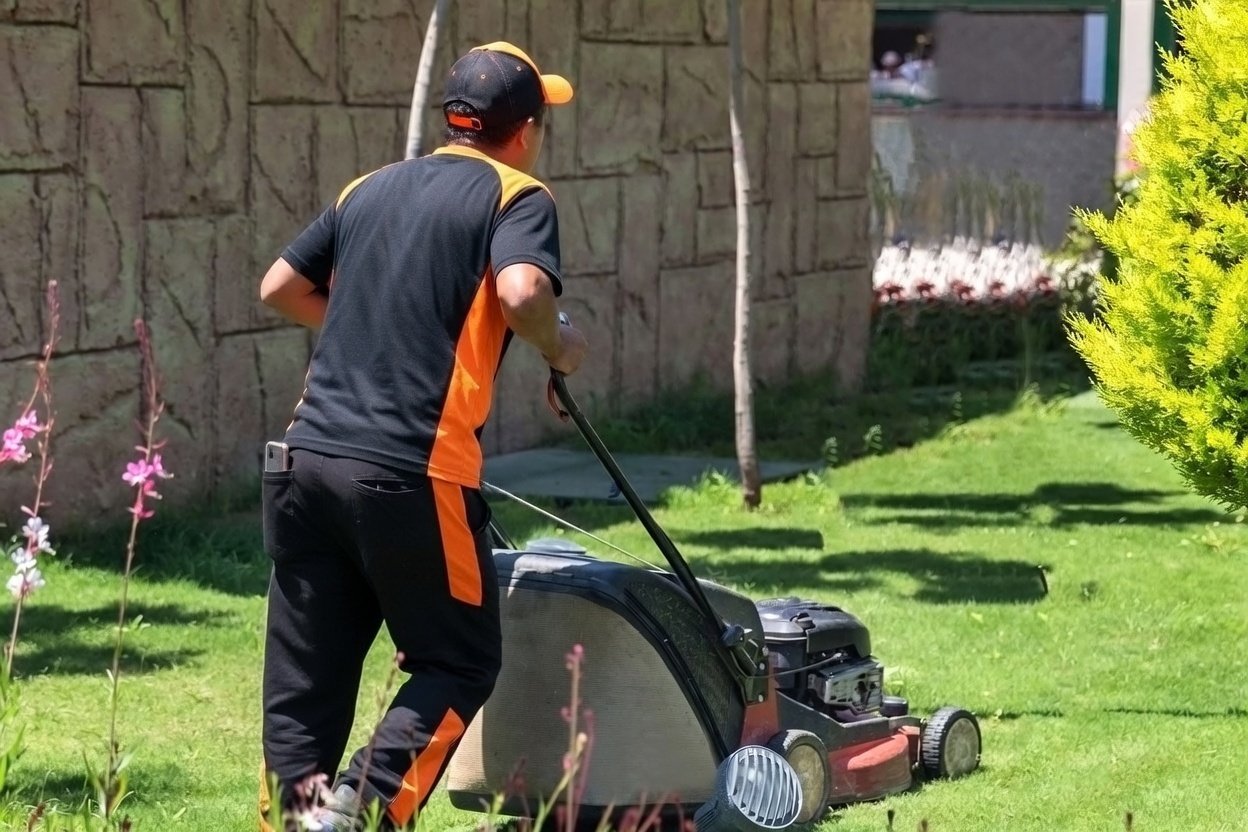Jardinería profesional en Granada